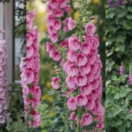 tall plants with pink flowers